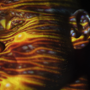 调教女人屁股被打破
