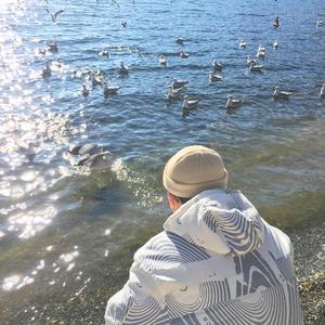 调教女人屁股被打破
