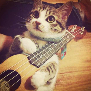 调教女人屁股被打破
